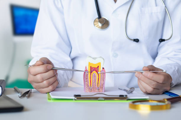 Best Mobile Emergency Dentist in Brandywine, MD
